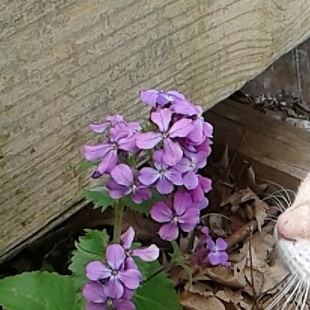 Meet your Posher, Chloe